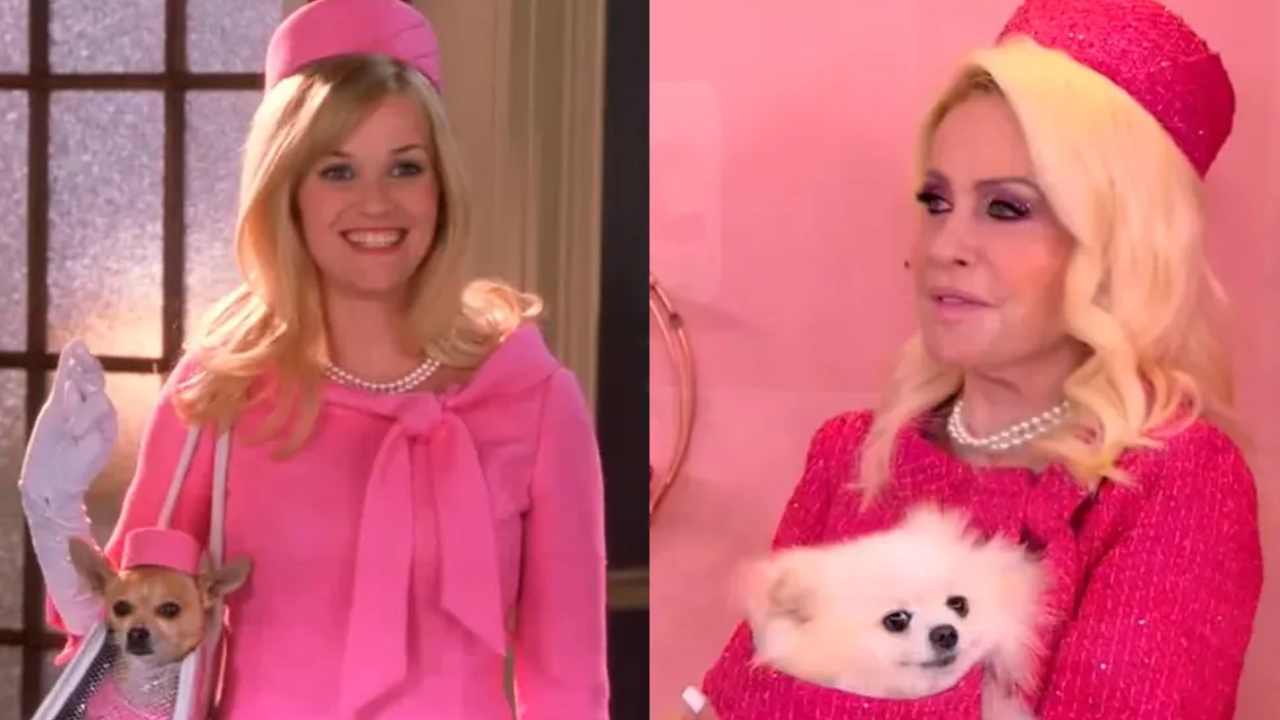 Após surgir de Barbie, Ana Maria Braga é comparada com personagem de 'Legalmente Loira' (Créditos: Reprodução/ TV Globo)